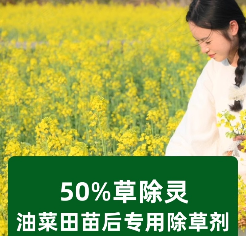 帆邦50%高浓度正品草除灵农用油菜田苗后内吸传导除草剂