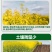 帆邦50%高浓度正品草除灵农用油菜田苗后内吸传导除草剂