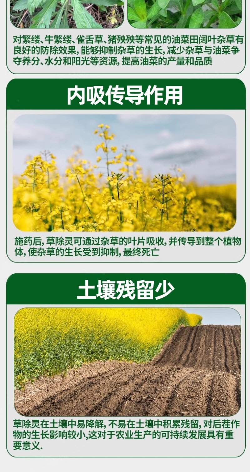 帆邦50%高浓度正品草除灵农用油菜田苗后内吸传导除草剂