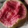 林珠虹的一亩田店铺