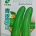青皮菜瓜种子-绿皮白肉汁多/食之清香甜美甜脆