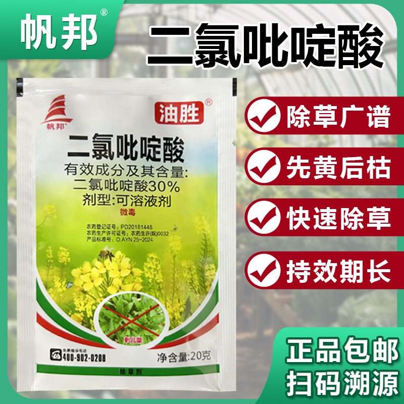 帆邦油胜30%二氯吡啶酸农用油菜田卷茎蓼鬼针草快速除草剂