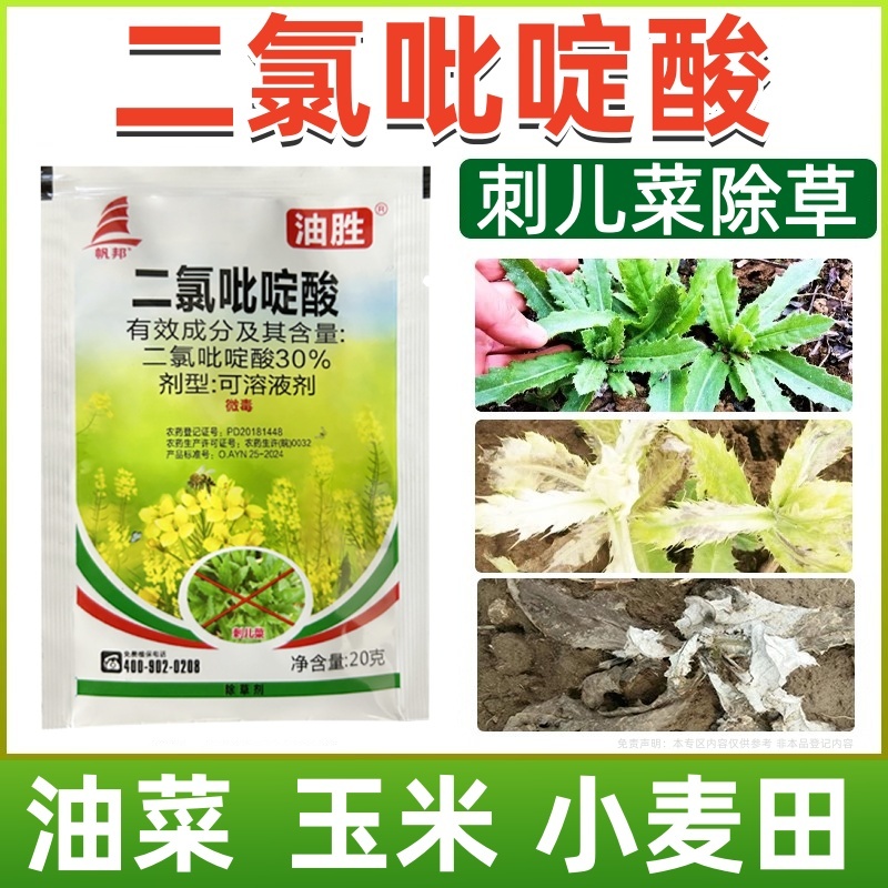 帆邦油胜30%二氯吡啶酸农用油菜田卷茎蓼鬼针草快速除草剂