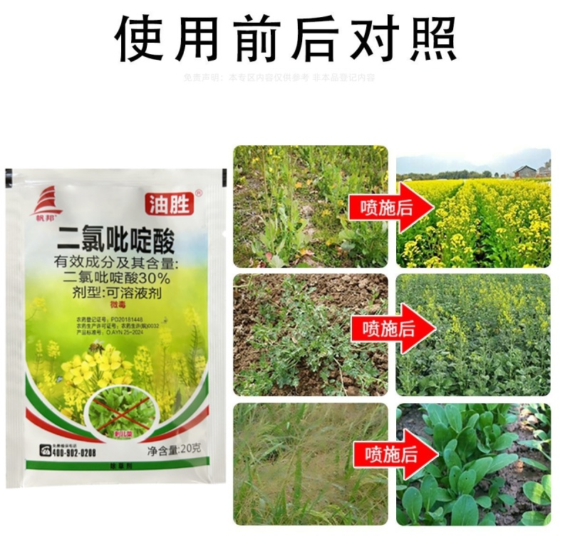 帆邦油胜30%二氯吡啶酸农用油菜田卷茎蓼鬼针草快速除草剂