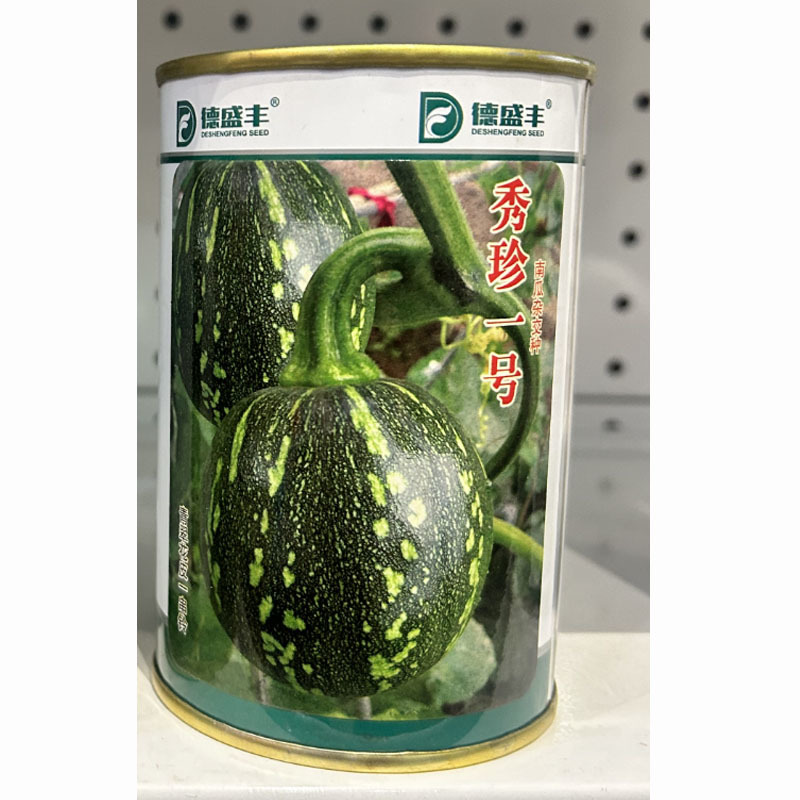 一串玲菜用小南瓜种子秀珍一号吃嫩南瓜和花脆四季种植