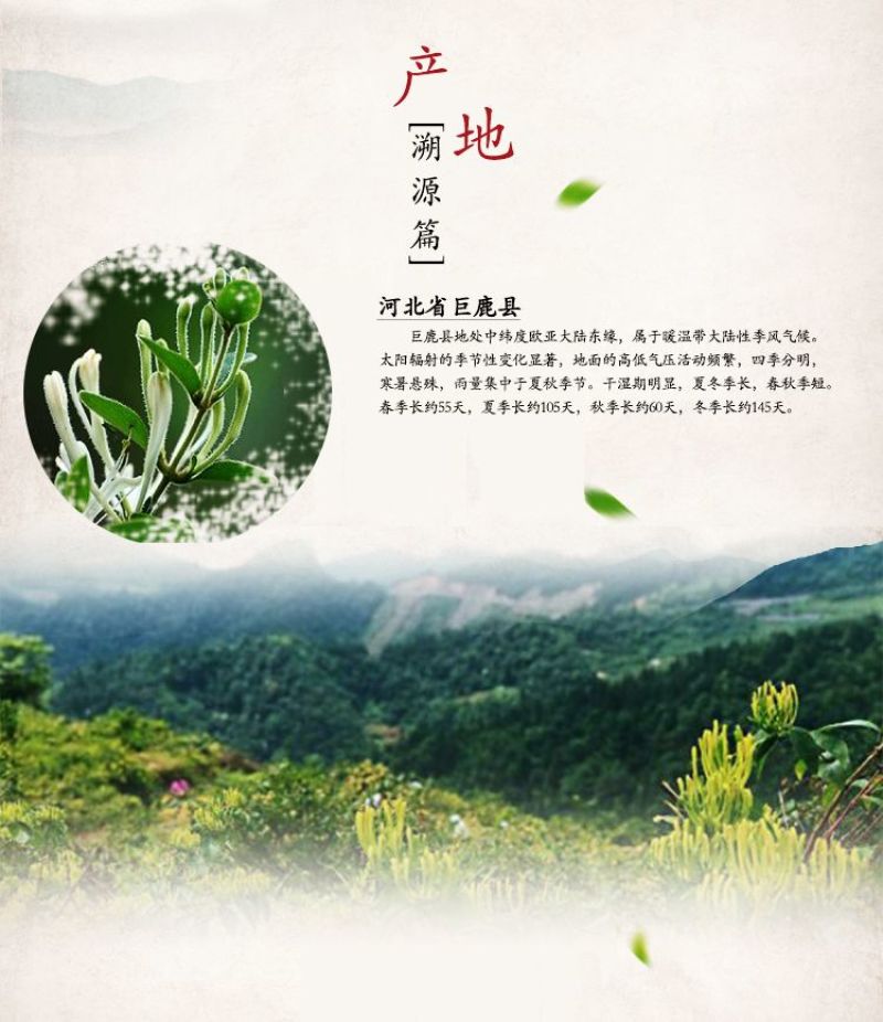 金银花干中药材500g野生特级无硫药用山银花婴儿洗澡金银