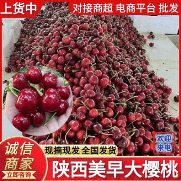 【美早樱桃】陕西樱桃新鲜采摘，齐早/布鲁克斯/红灯/先锋