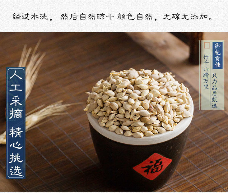 橘核桔核中药材橘核茶桔子核橘子核橘子籽桔子