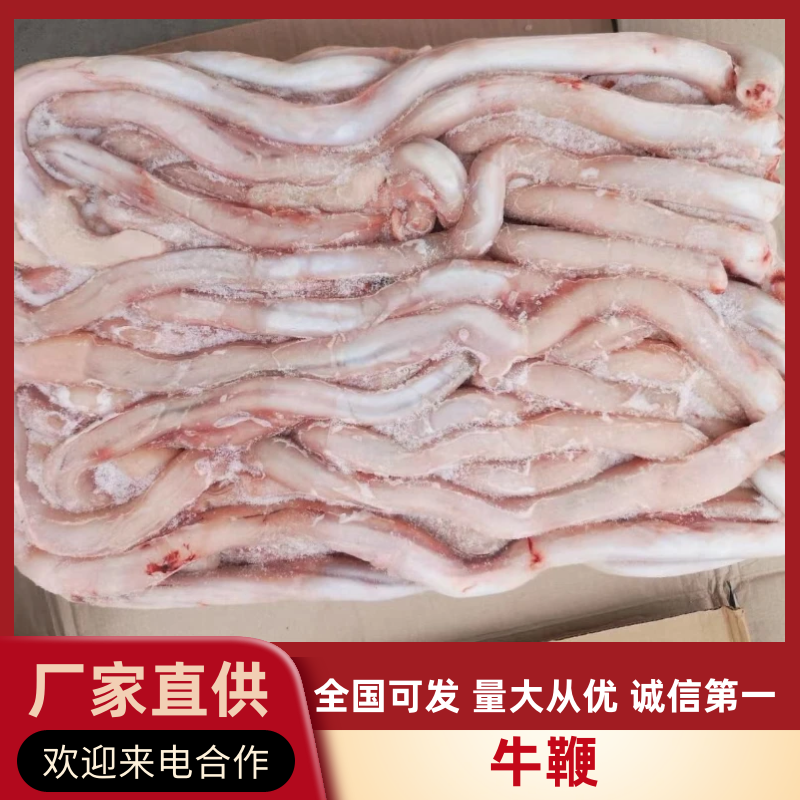 牛鞭国产质量上成支持样品欢迎选购工厂直营