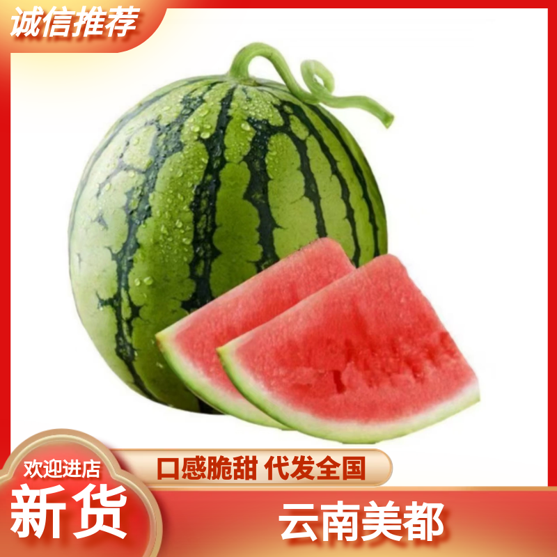 【诚信卖家】陕西美都西瓜大量有货可视频看货