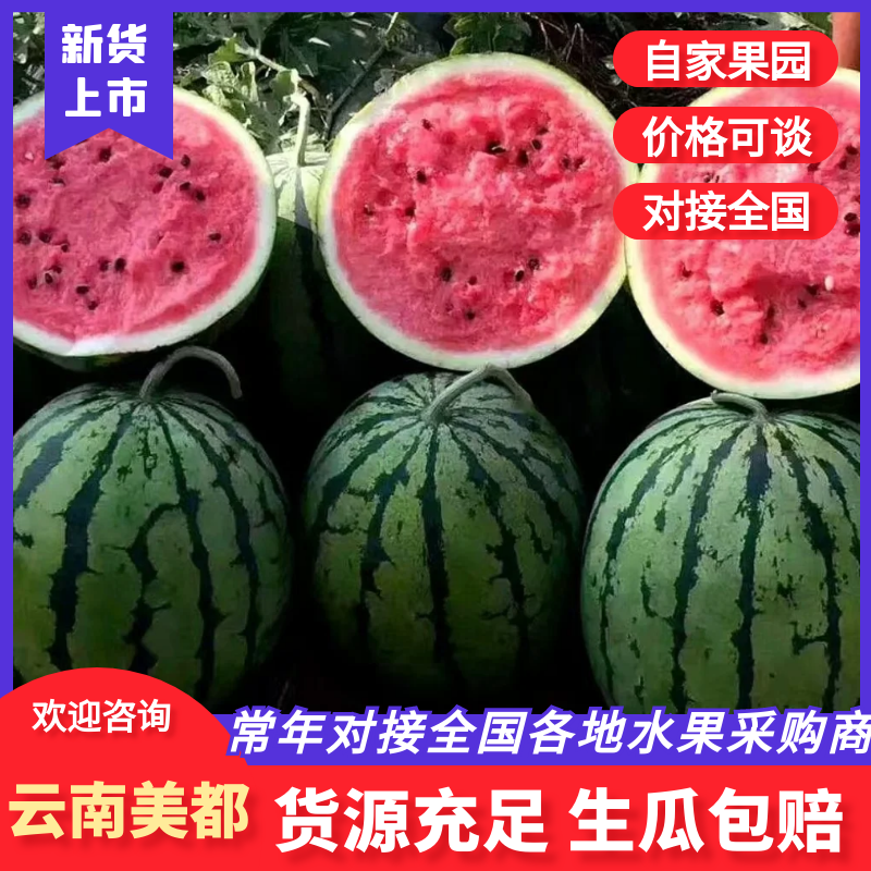 【品质保证】美都西瓜货源充足一手货源欢迎新老客户咨询