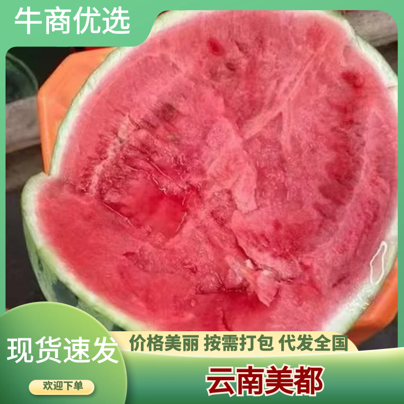 【实力推荐】陕西美都西瓜大量有货产地直发可视频看货