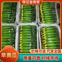 东北辽宁旱黄瓜产地直发货源充足十年代办质量有保障