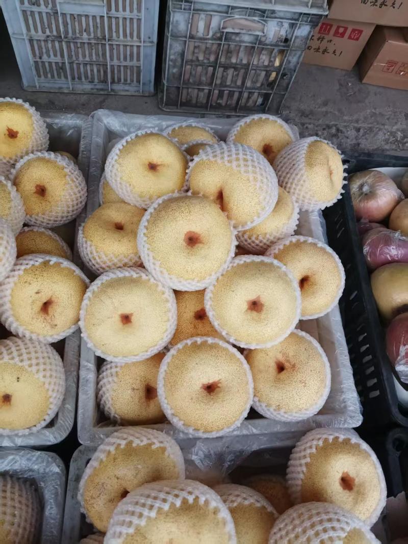 砀山酥梨，品质保证，产地直发，价格优惠，诚信经营