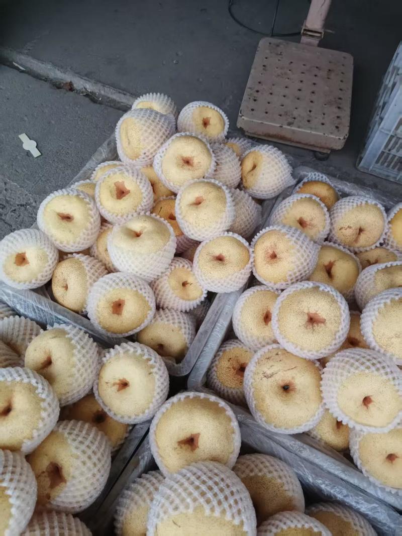 砀山酥梨，品质保证，产地直发，价格优惠，诚信经营