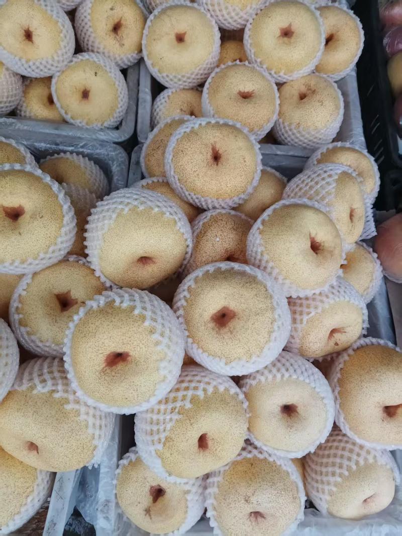 砀山酥梨，品质保证，产地直发，价格优惠，诚信经营