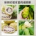 诺力果干片诺力果干片诺力果干片诺力果干片批发