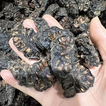 诺力果干片诺力果干片诺力果干片诺力果干片批发
