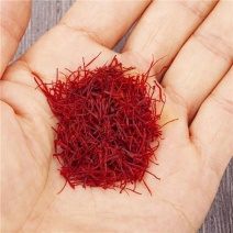 藏红花西藏藏红花伊朗藏红花藏红花批发