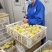 泰州鹅苗大种泰州鹅苗品种正宗抗病能力强散养鹅苗好选择