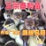 黑番鸭苗大种黑番鸭苗火鸭苗半番鸭苗一手货源包打疫苗包成活