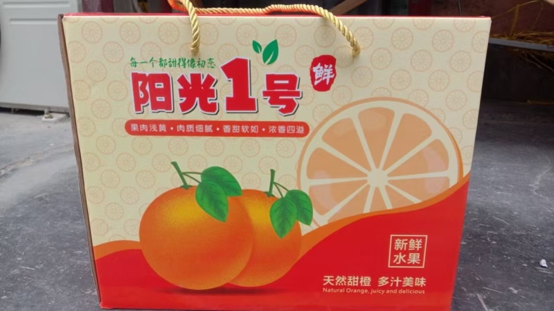 精品阳光一号柑橘，皮薄脆甜化渣，货源充足，全国发货