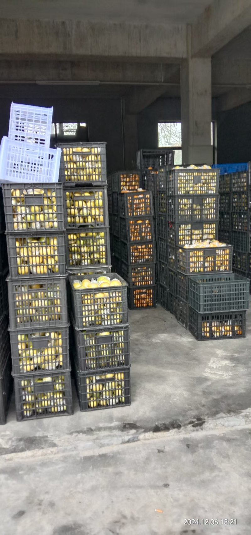 精品阳光一号柑橘，皮薄脆甜化渣，货源充足，全国发货