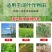 帆邦禾无影10%精喹禾灵农用大豆田花生田除阔叶杂草除草剂