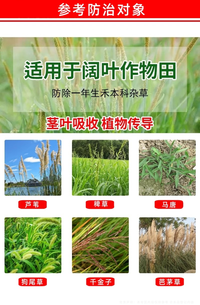 帆邦禾无影10%精喹禾灵农用大豆田花生田除阔叶杂草除草剂