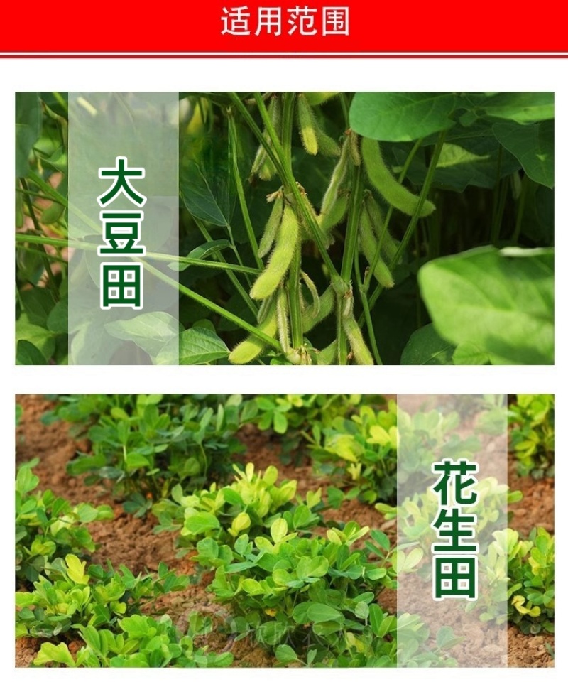 帆邦禾无影10%精喹禾灵农用大豆田花生田除阔叶杂草除草剂