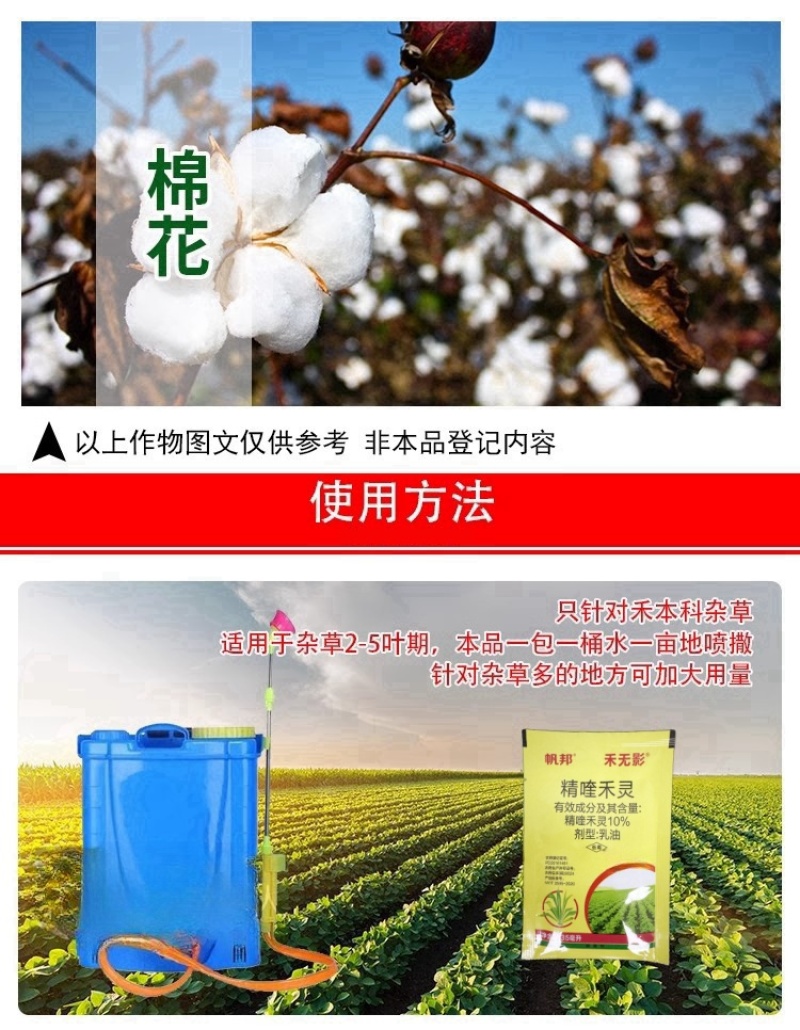 帆邦禾无影10%精喹禾灵农用大豆田花生田除阔叶杂草除草剂