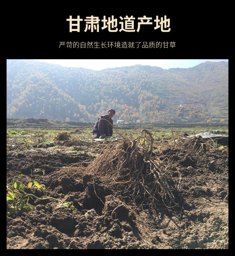 正宗红皮甘草切片无硫自然晒干甘草茶味浓好品质包邮