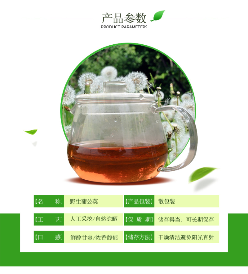 【甘肃定西蒲公英】多年生长含量高整颗发货自然阴干味浓