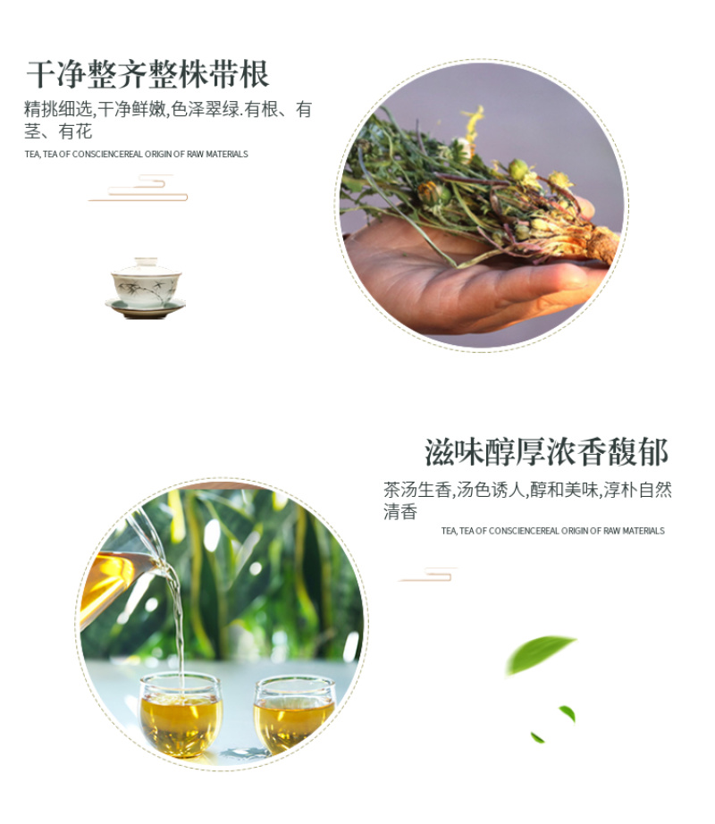【甘肃定西蒲公英】多年生长含量高整颗发货自然阴干味浓