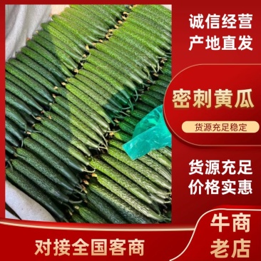 {实力}万亩密刺黄瓜基地，产地直发，口感嘎嘎催