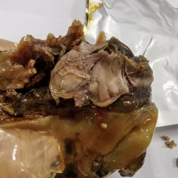 【热卖中】麻辣小甲鱼大量有货产地直发可发往全国