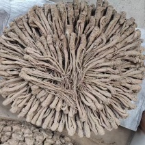 【精品岷县当归】甘肃产地直供一手货源质量保证全国发货