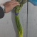 【红帽蒜薹】金乡蒜薹打好捆条形好水分足不干不糠一件代发