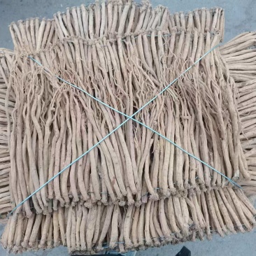 【精品党参】甘肃岷县产地直发质量保证规格齐全欢迎订购