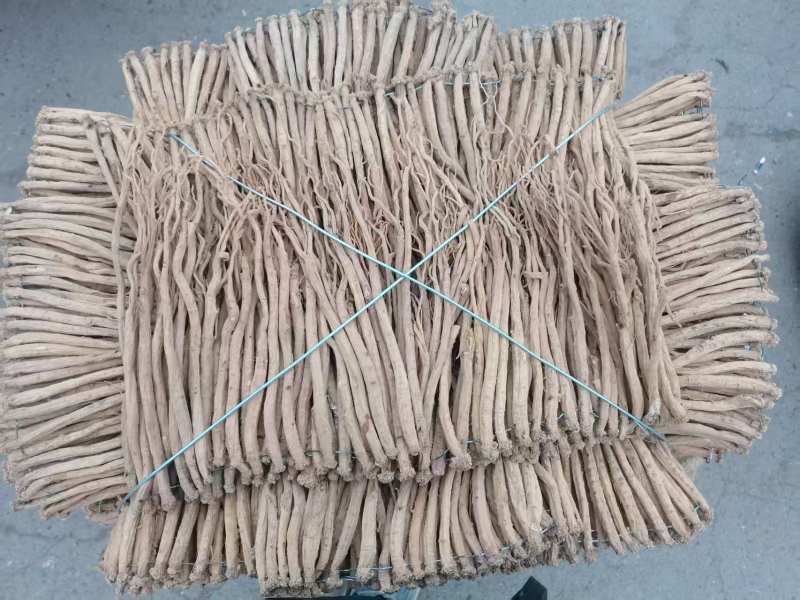 【精品党参】甘肃岷县产地直发质量保证规格齐全欢迎订购
