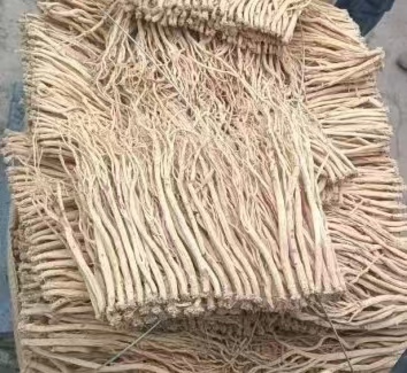 【精品党参】甘肃岷县产地直发质量保证规格齐全欢迎订购