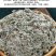 【甘肃优选茵陈】茵陈精选泡茶干货干净无杂草