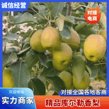 【实力商家】精品库尔勒香梨香甜多汁对接全国诚信经营