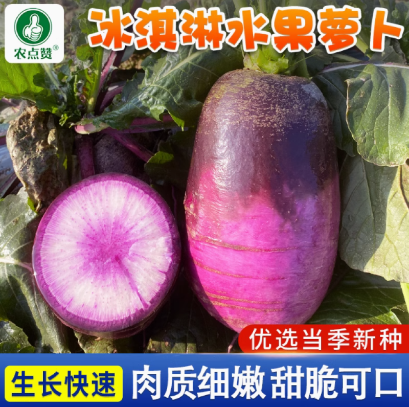 冰淇淋水果萝卜种子-花青素含量高生食脆甜多汁不易糠心