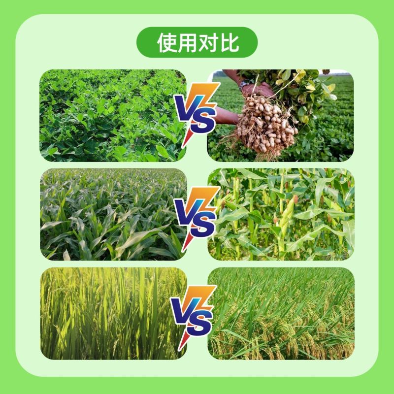 10%调环酸钙控梢不控果花生控旺矮化增产植物生长调节剂