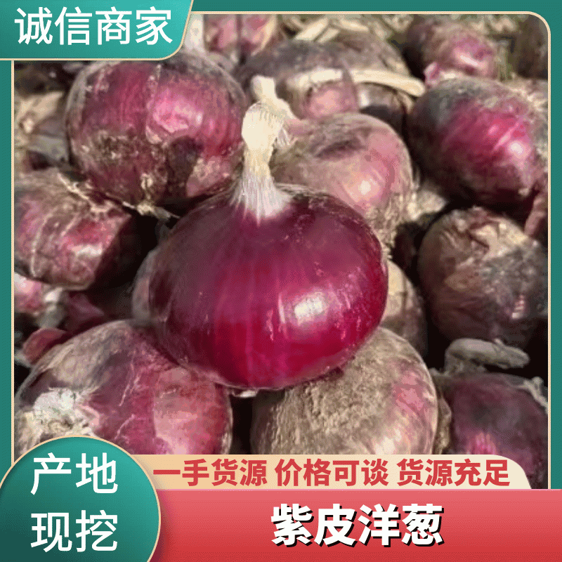 【优选】云南紫皮洋葱货源充足对接电商批发商社区