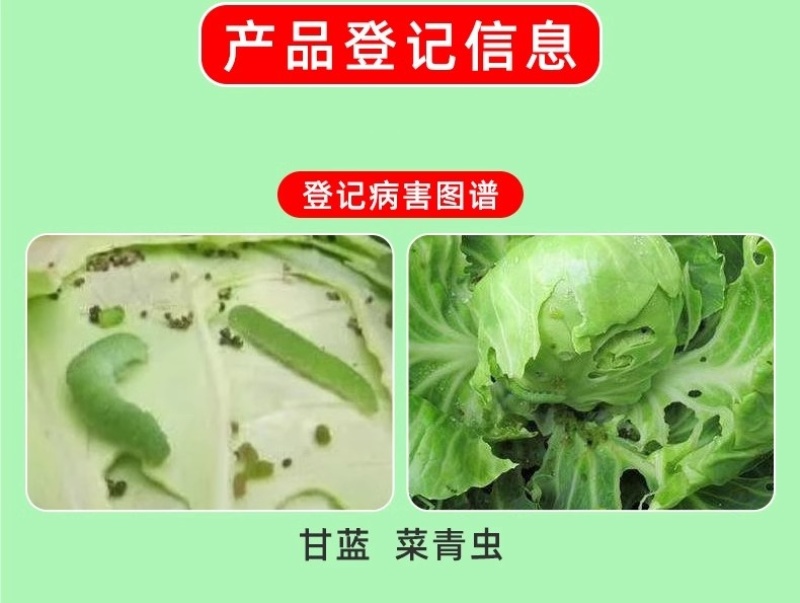 山东邦赛克10%高效氯氟氰菊酯农用甘蓝菜青虫快速杀虫剂