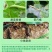 山东邦赛克10%高效氯氟氰菊酯农用甘蓝菜青虫快速杀虫剂