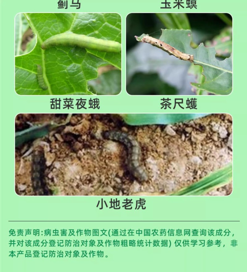 山东邦赛克10%高效氯氟氰菊酯农用甘蓝菜青虫快速杀虫剂