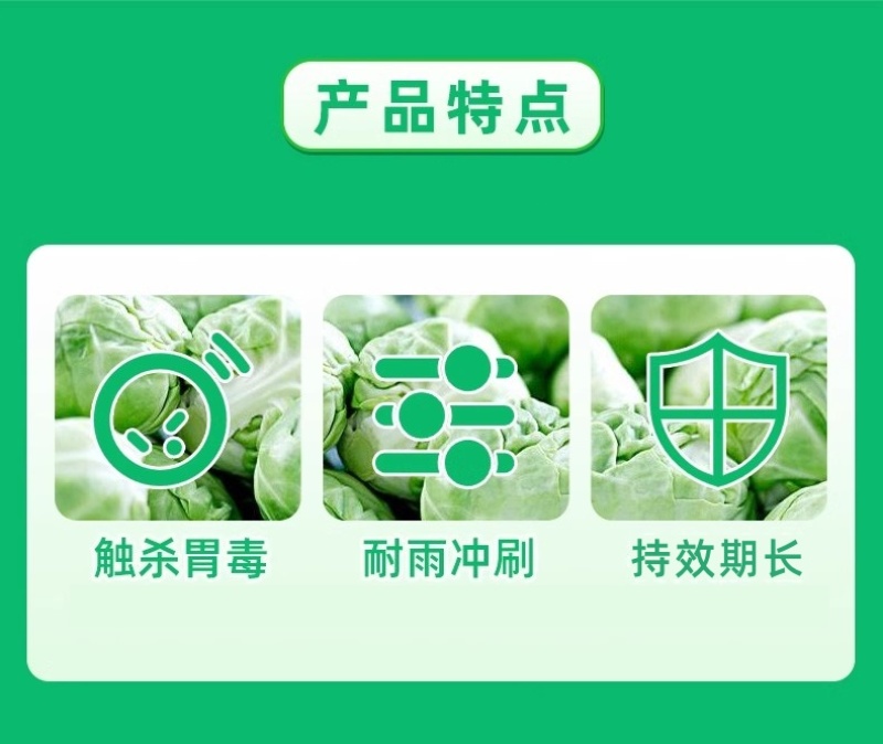 山东邦赛克10%高效氯氟氰菊酯农用甘蓝菜青虫快速杀虫剂